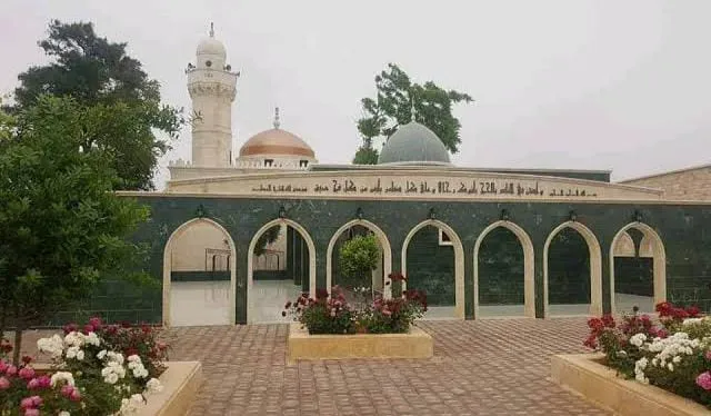 Tip Hatay il örgütünden Suriye Açıklaması 