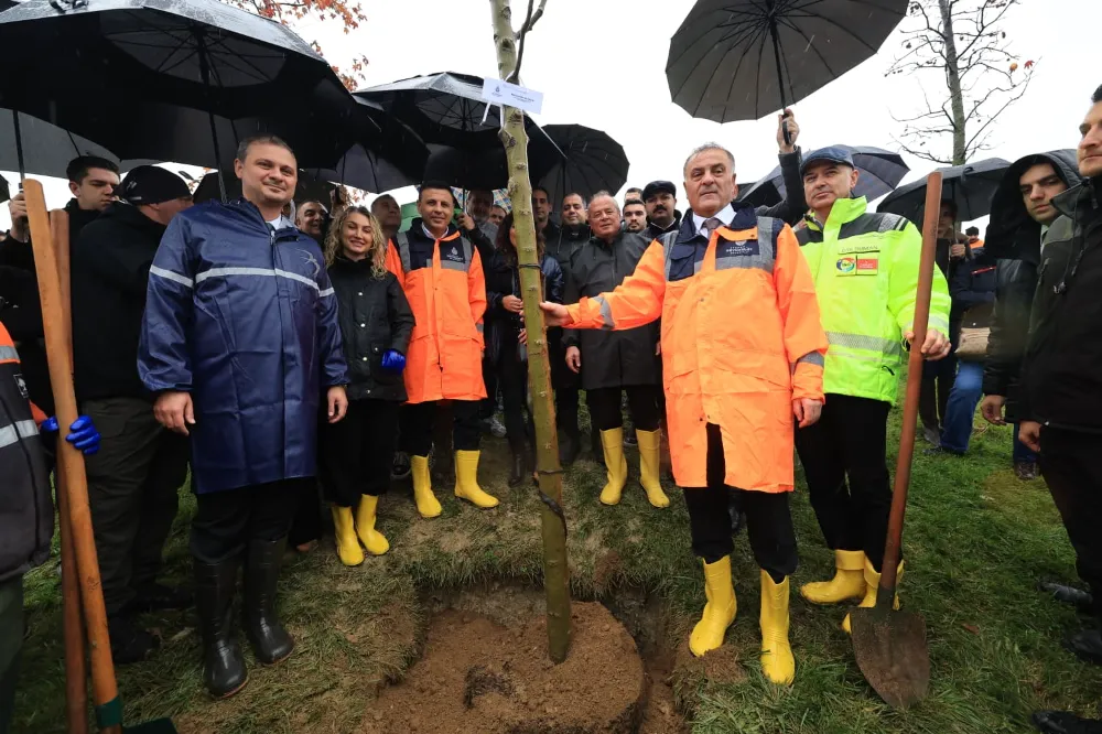 DİKİLEN FİDANLAR TOPRAKLA BULUŞTU 