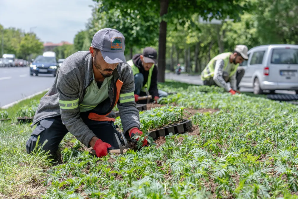 İSTANBUL YEŞİLLE TAZELENİYOR 