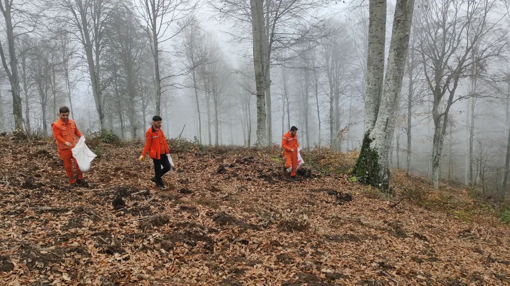 Bursa Harmancık’ta yanan ormanlara tohumlar serpiliyor 