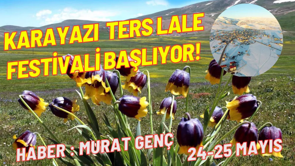 Karayazı Ters Lale Festivali Başlıyor! Doğanın, Kültürün ve Renklerin Buluşması