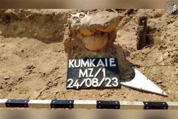 Çanakkale Savaşları