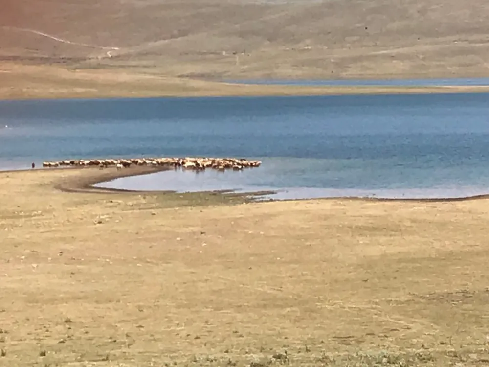 Erzurum’un Bitmeyen Dertleri